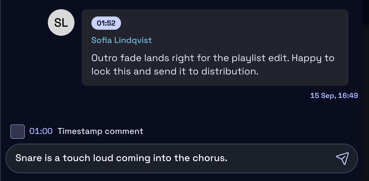Under the thread: Timestamp comment unticked, and a note typed in the comment box