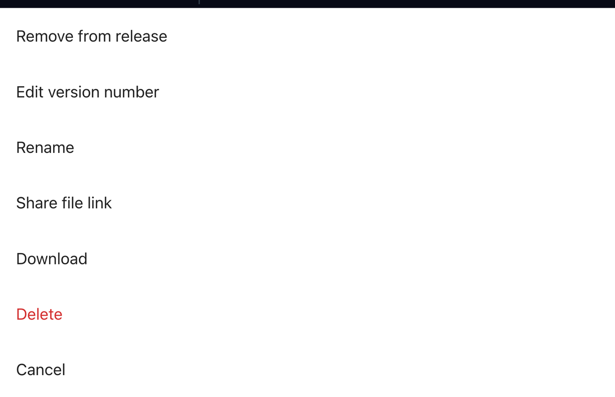 A file’s options sheet: Remove from release, Edit version number, Rename, Share file link, Download, Delete and Cancel