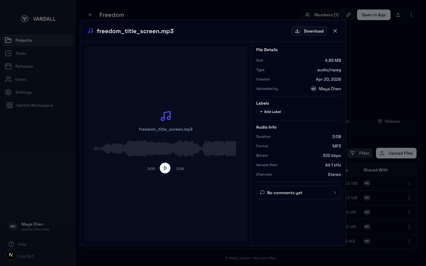 Audio file preview with waveform player and details sidebar
