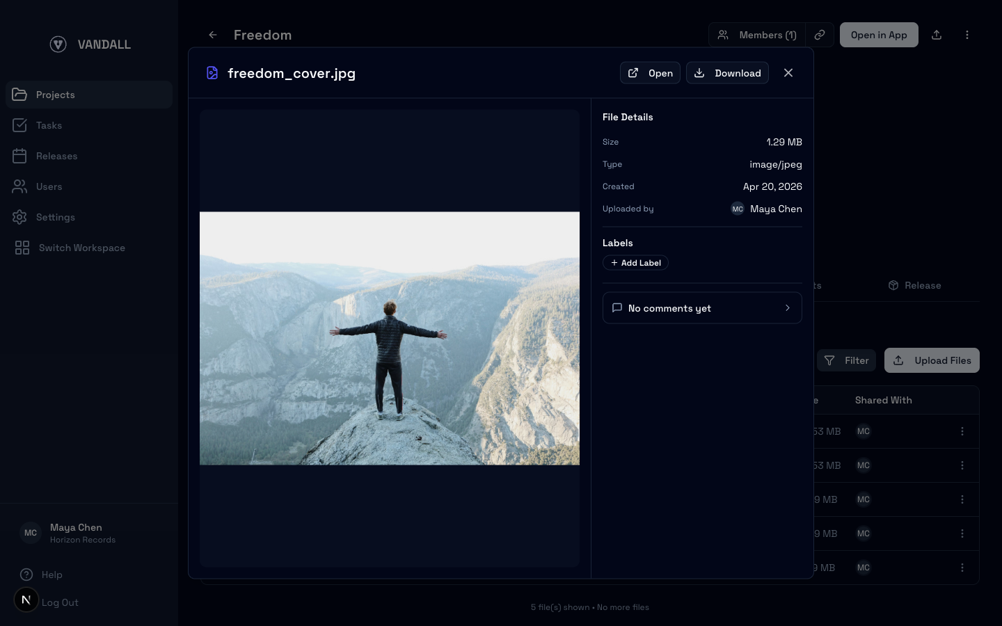 Image file preview with details sidebar