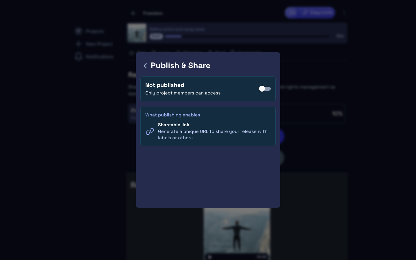 Publish confirmation dialog showing the finalized release package